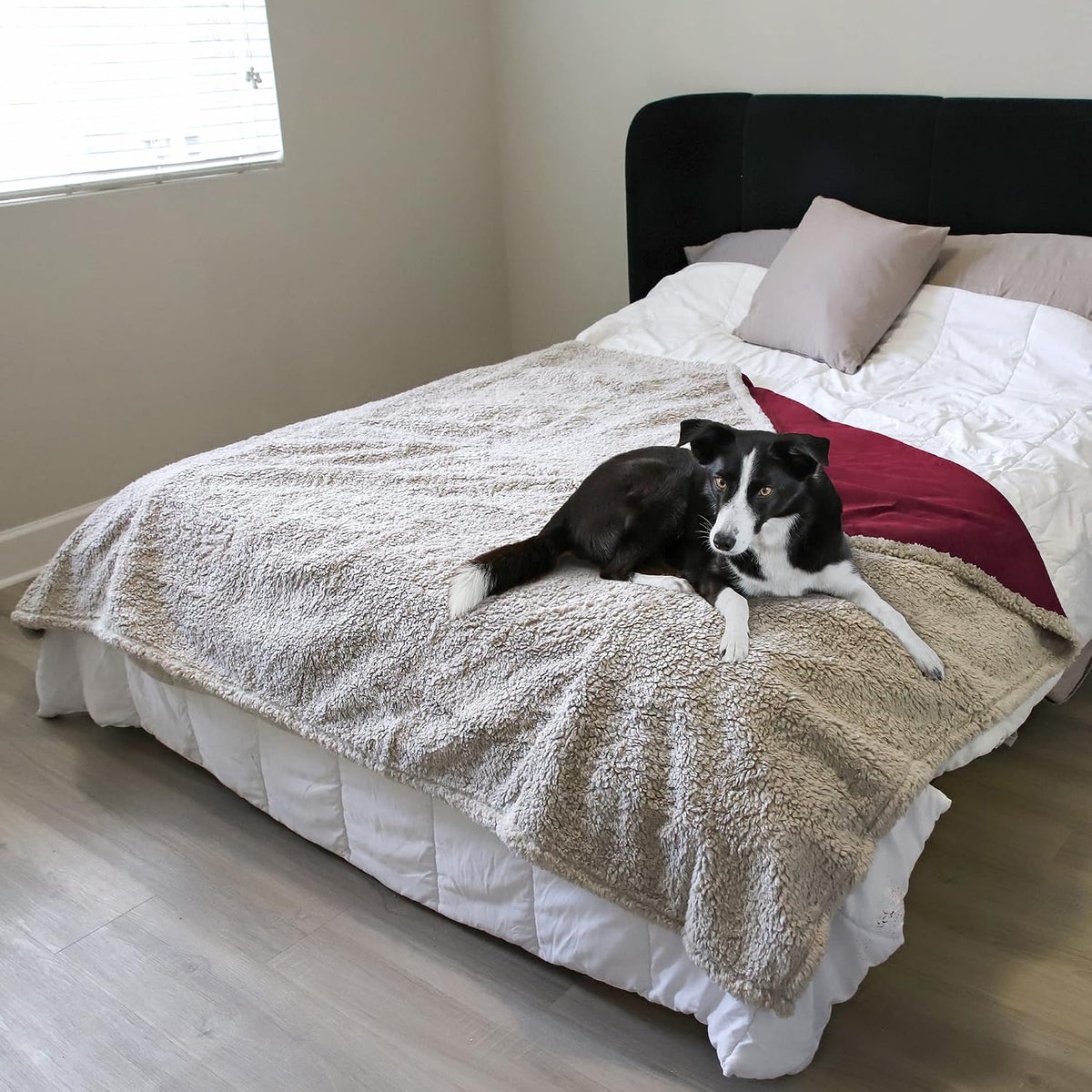 Reversible Waterproof Pet Blanket for Dogs and Cats